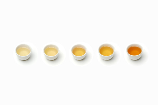 Meet Oolong: The "Spectrum Tea" You’ve Never Tasted