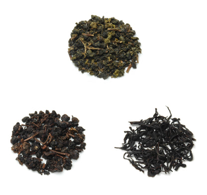 Origins of Taiwan Discovery Trio