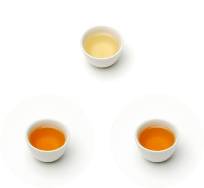 Origins of Taiwan Discovery Trio
