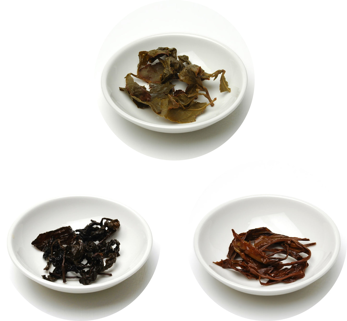 Origins of Taiwan Discovery Trio
