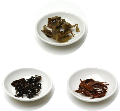 Origins of Taiwan Discovery Trio