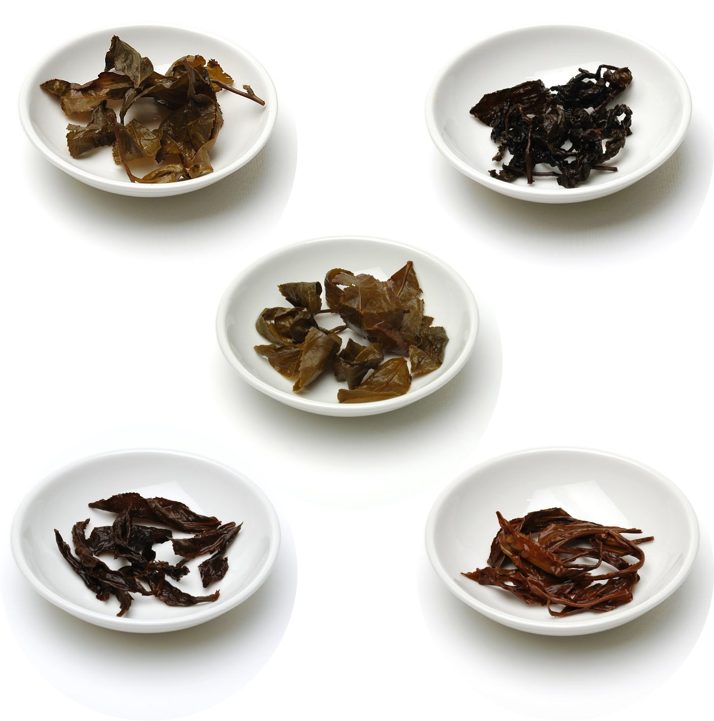 The Taiwanese Discovery Collection