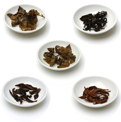 The Taiwanese Discovery Collection